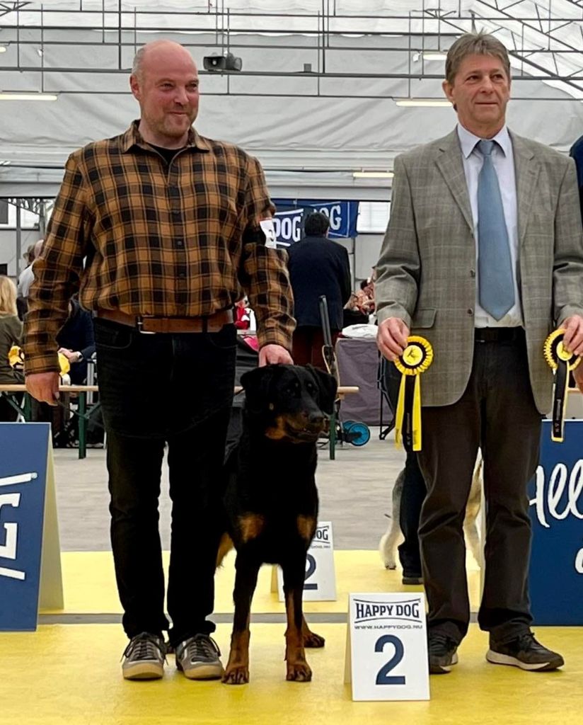 CH. Uzelle Le Bas Rouge Céleste - 1e EXC CAC CACIB Holland cup winster