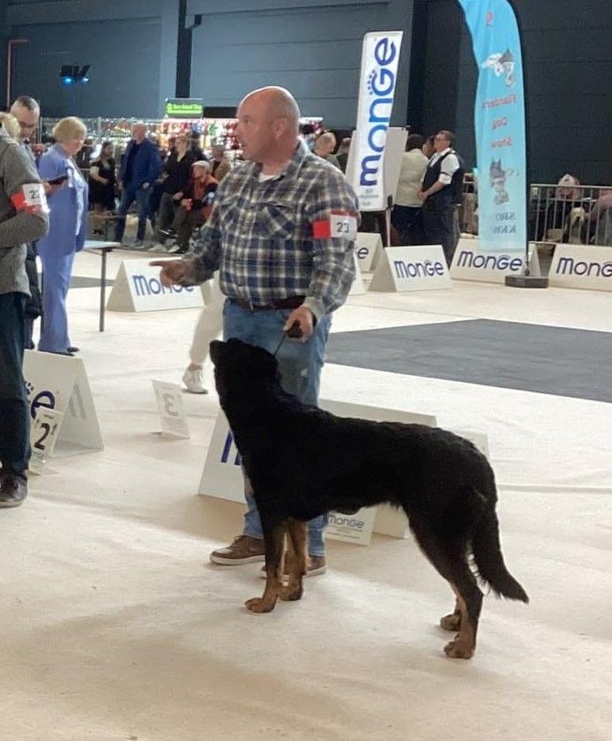 CH. Uzelle Le Bas Rouge Céleste - 1e EXC CAC CACIB (Ch classe)