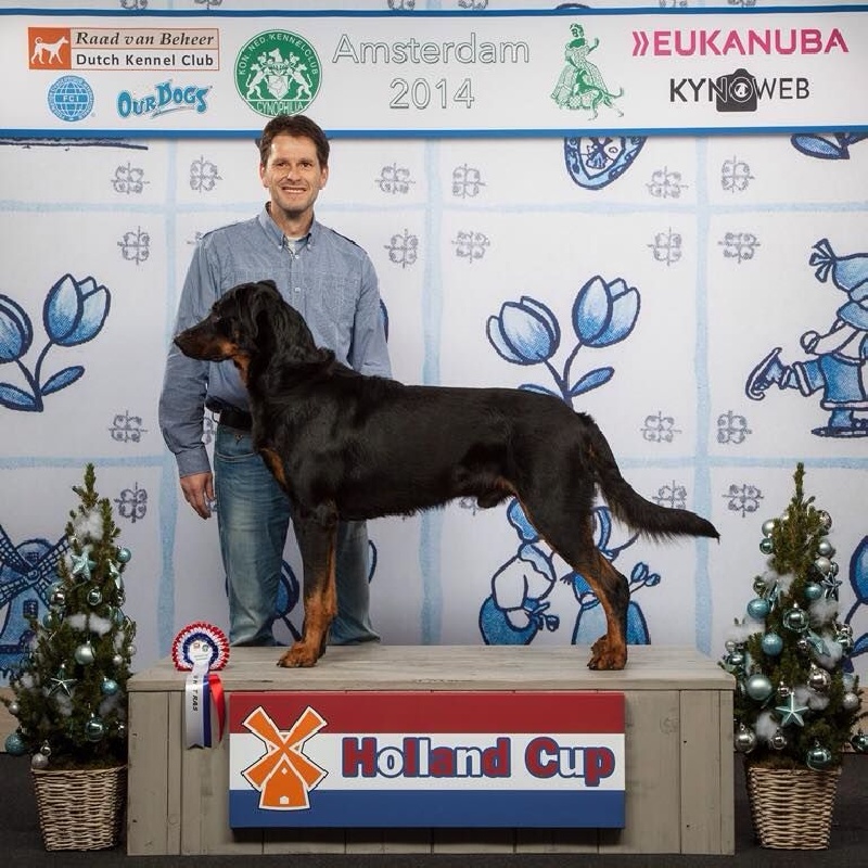 CH. Morse (monty) L'ami De La Campagne - 1e Exc - CAC - CACIB - BOB