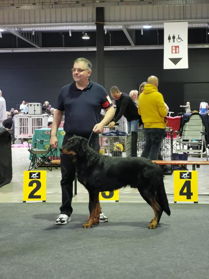 CH. Solo L'ami De La Campagne - 2e EXC RCACL RCACIB