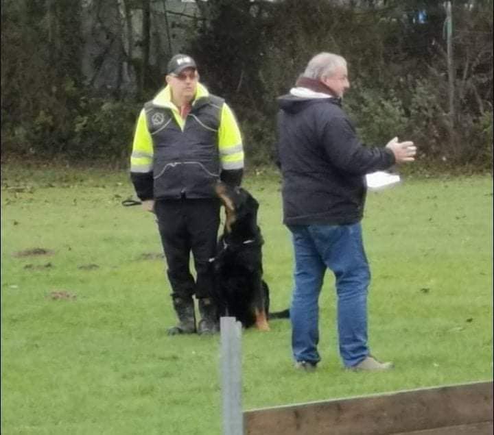 CH. Solo L'ami De La Campagne - Brevet BH réussi