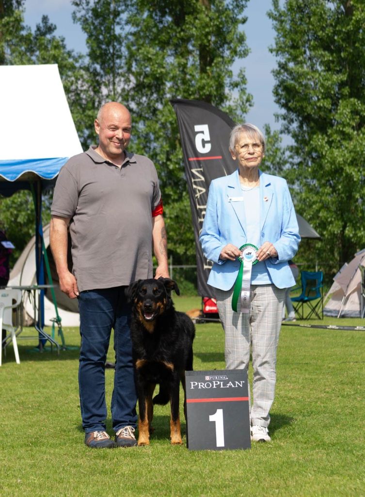 CH. Vie en rose by piaf L'ami De La Campagne - 1e EXC CAC BOB