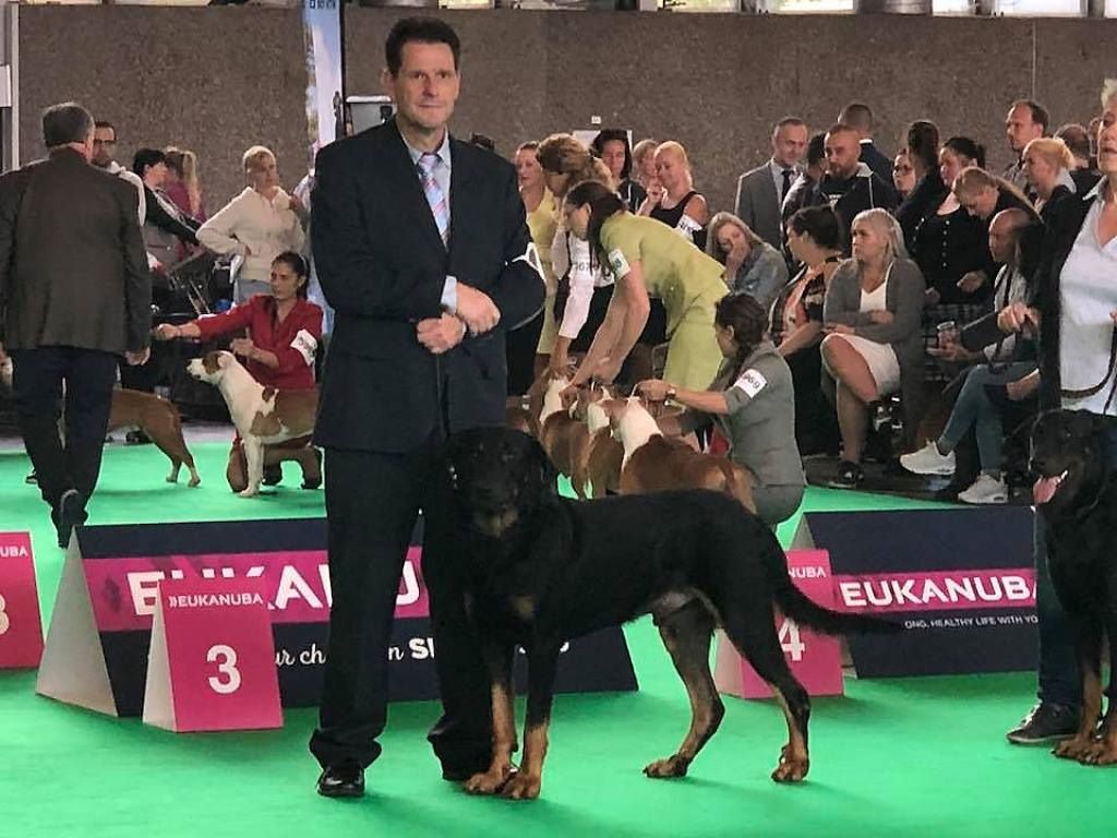 CH. Morse (monty) L'ami De La Campagne - EXCELLENT (cl. Champ)