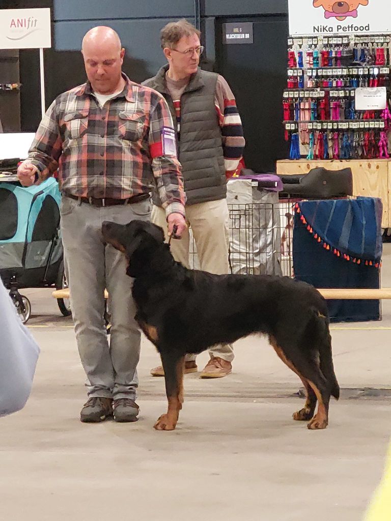 CH. Uzelle Le Bas Rouge Céleste - 1e EXC CAC - CACIB - BOB