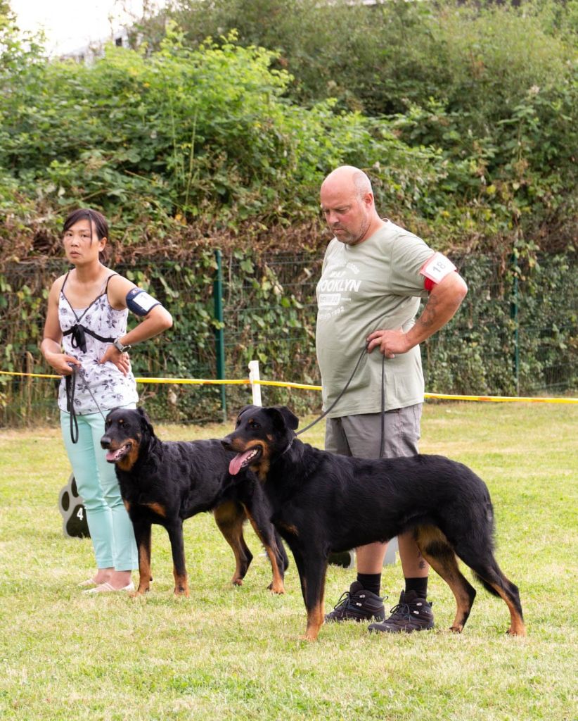 CH. Vie en rose by piaf L'ami De La Campagne - 2e EXC RCACL