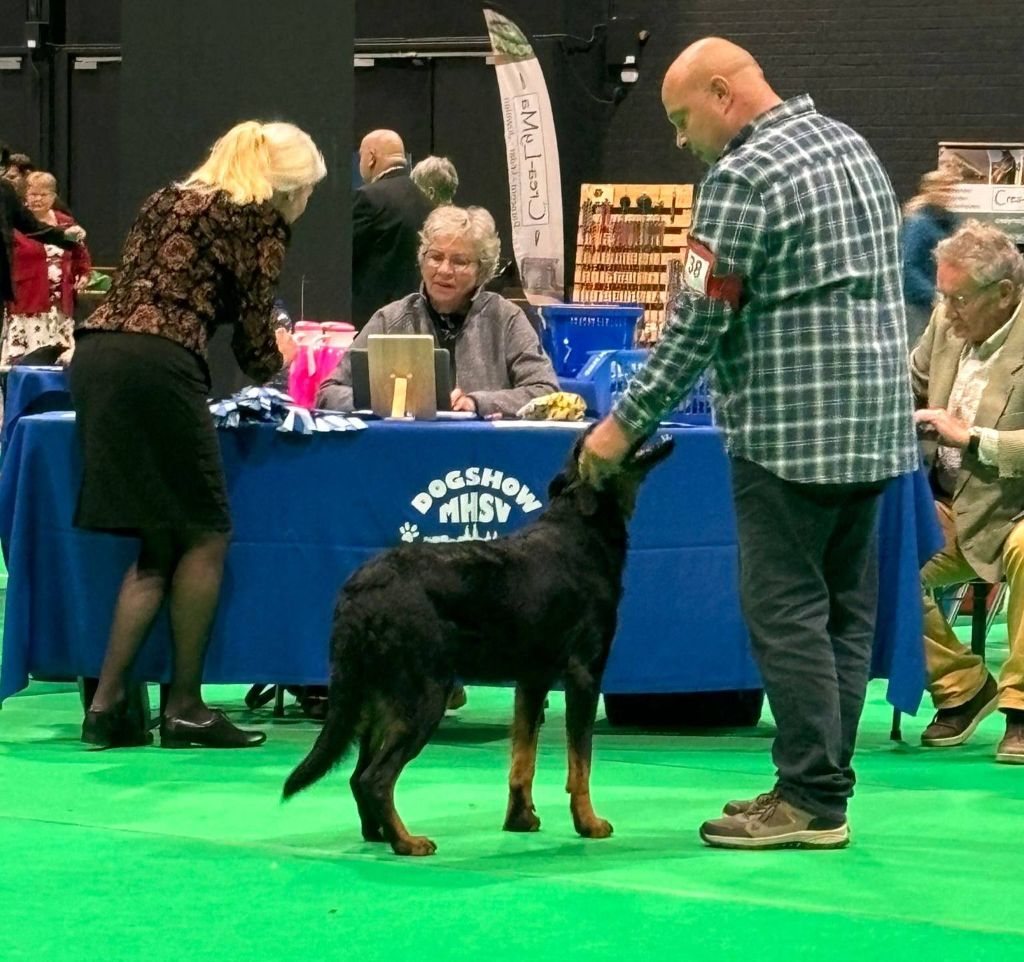 Whyava L'ami De La Campagne - 1e EXC BEST JUNIOR - Jr CACIB - CAC - BOS