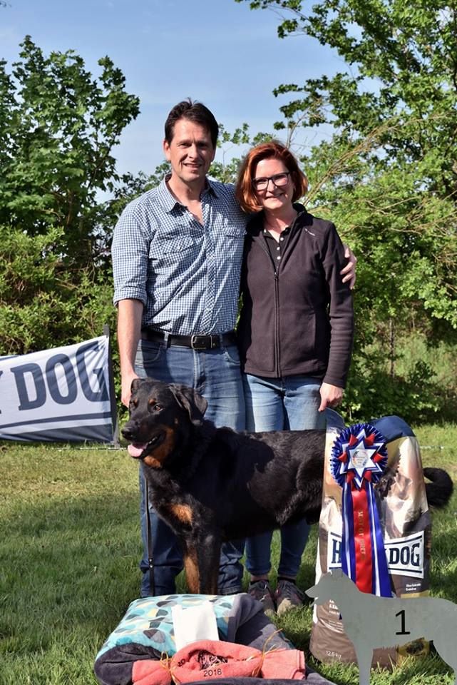 CH. Morse (monty) L'ami De La Campagne - 1e EXCELLENT et MEILLEUR DE RACE