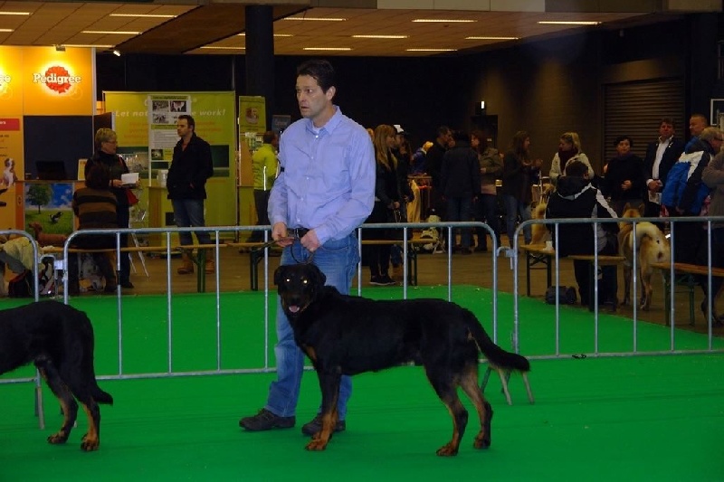 CH. Morse (monty) L'ami De La Campagne - 3e Excellent (cl. ouvert)