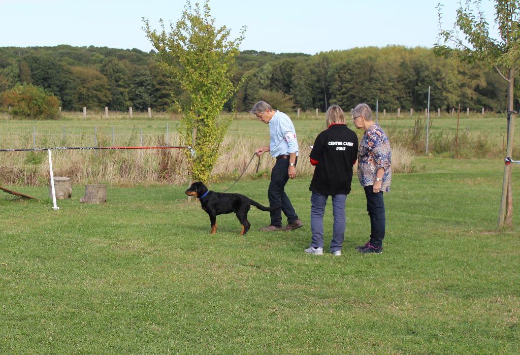 CH. Solo L'ami De La Campagne - 3e TP (classe baby)