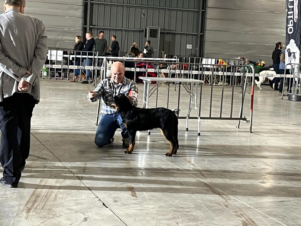 Whyava L'ami De La Campagne - 1 Très prometteur BESTE BABY