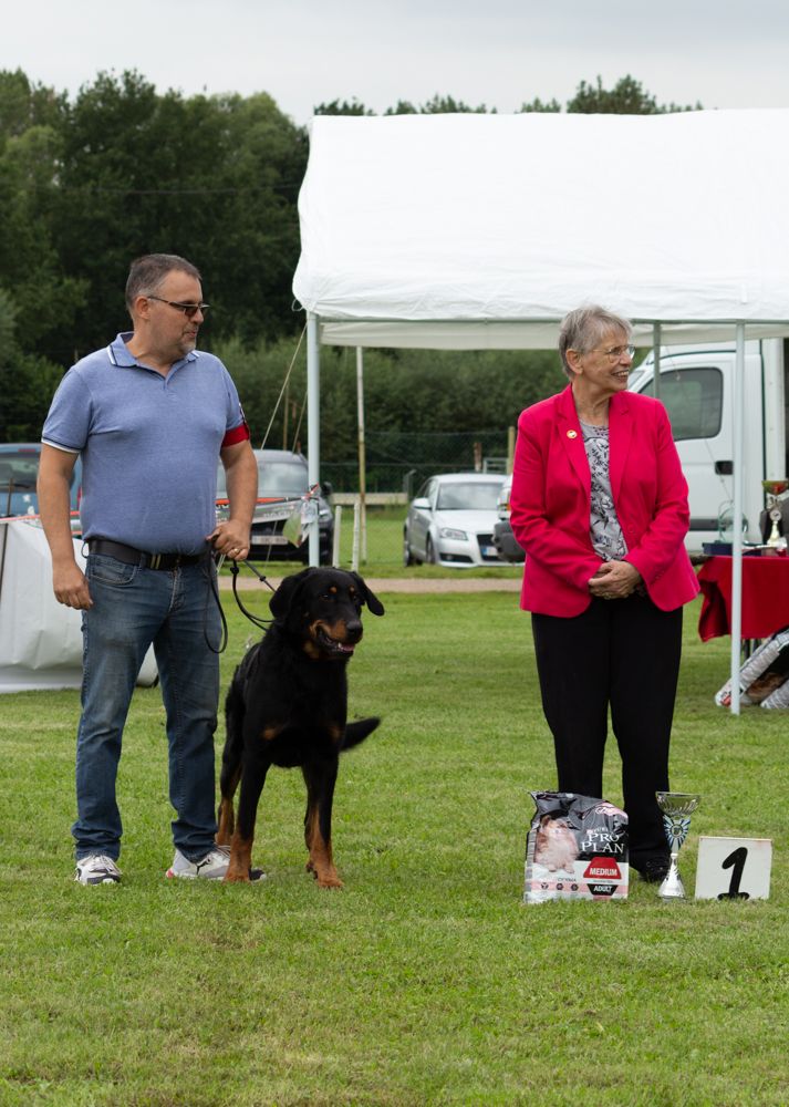 CH. Solo L'ami De La Campagne - 1e EXC ResCAC