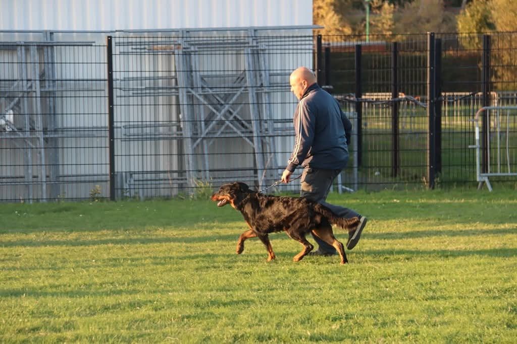 Whyava L'ami De La Campagne - EXC MORPHO / EXC TAN COTATION 3 2e plaats openklas