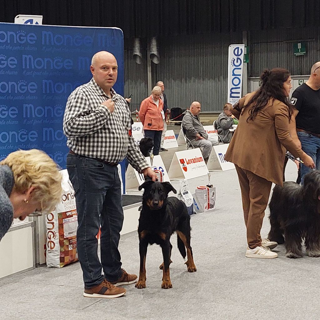 Whyava L'ami De La Campagne - 1e EXC CACIB-J Best Jr. & BOB