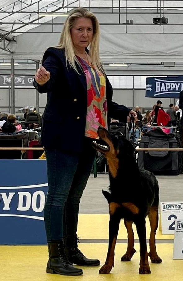 CH. Vousia L'ami De La Campagne - 1e EXC RCAC FCI-JR-CACIB & BEST JUNIOR