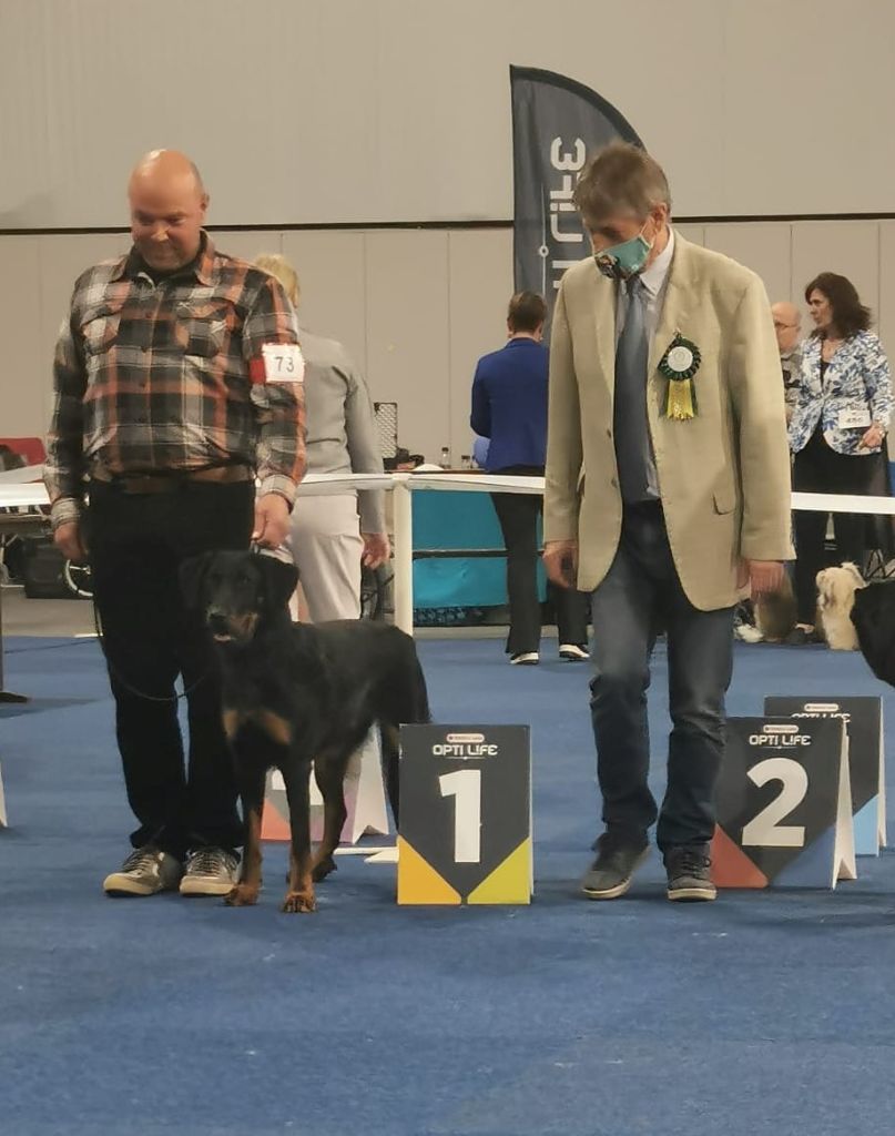 CH. Uzelle Le Bas Rouge Céleste - 1e Exc meilleur jeune
