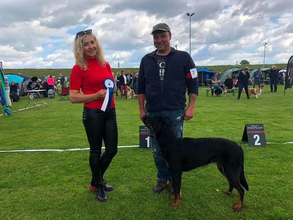 CH. Uzelle Le Bas Rouge Céleste - 1e EXC MEILLEUR JEUNE et 4e BEST JUNIOR IN SHOW