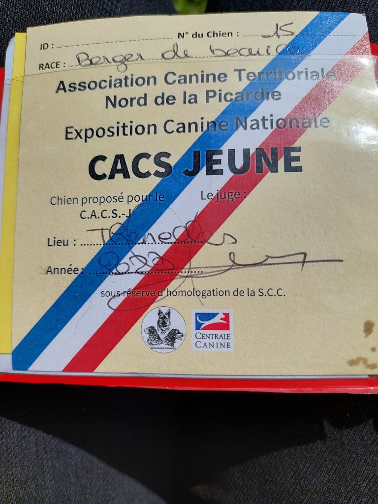 CH. Vousia L'ami De La Campagne - 1e EXC JCAC MEILLEURE JEUNE