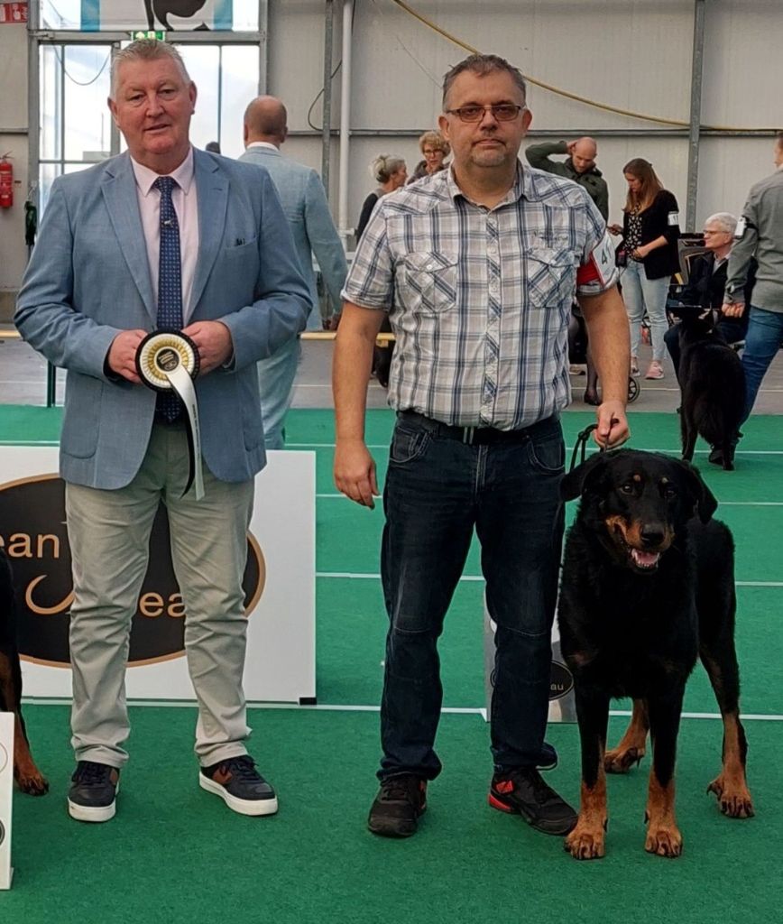 CH. Solo L'ami De La Campagne - 1e EXC CAC CACIB BOS