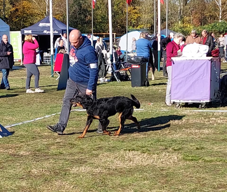 CH. Uzelle Le Bas Rouge Céleste - 1e TP Meilleur puppy