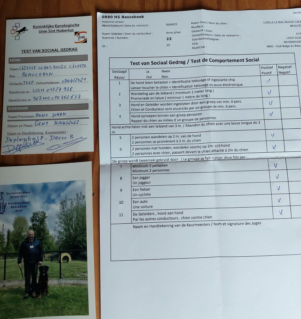 CH. Uzelle Le Bas Rouge Céleste - Réussi / Geslaagd