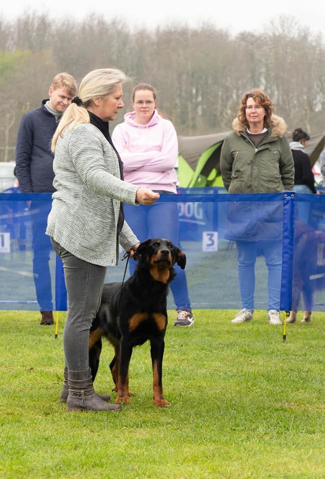 CH. Vousia L'ami De La Campagne - 1e EXC Meilleur jeune, CAC, BOB