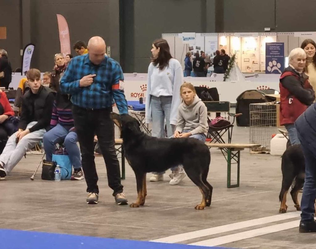 CH. Vie en rose by piaf L'ami De La Campagne - 1e EXC (cl inter)