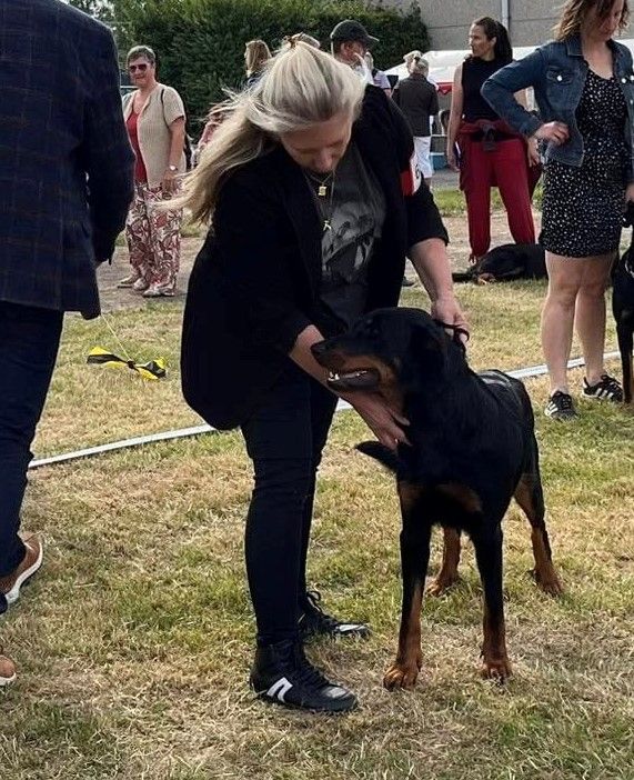 CH. Vousia L'ami De La Campagne - 1e EXC JR-CACIB & BOS (MEILLEURE FEMELLE)