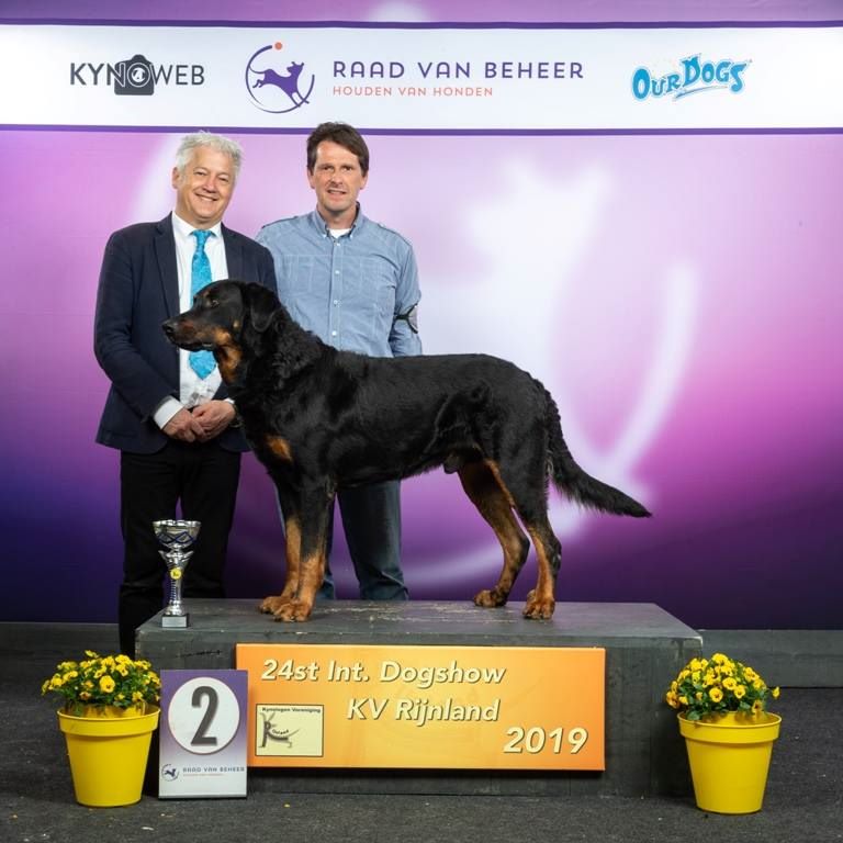 CH. Morse (monty) L'ami De La Campagne - 1e Exc - CAC - CACIB - Meilleur de race et 2e group 1!!