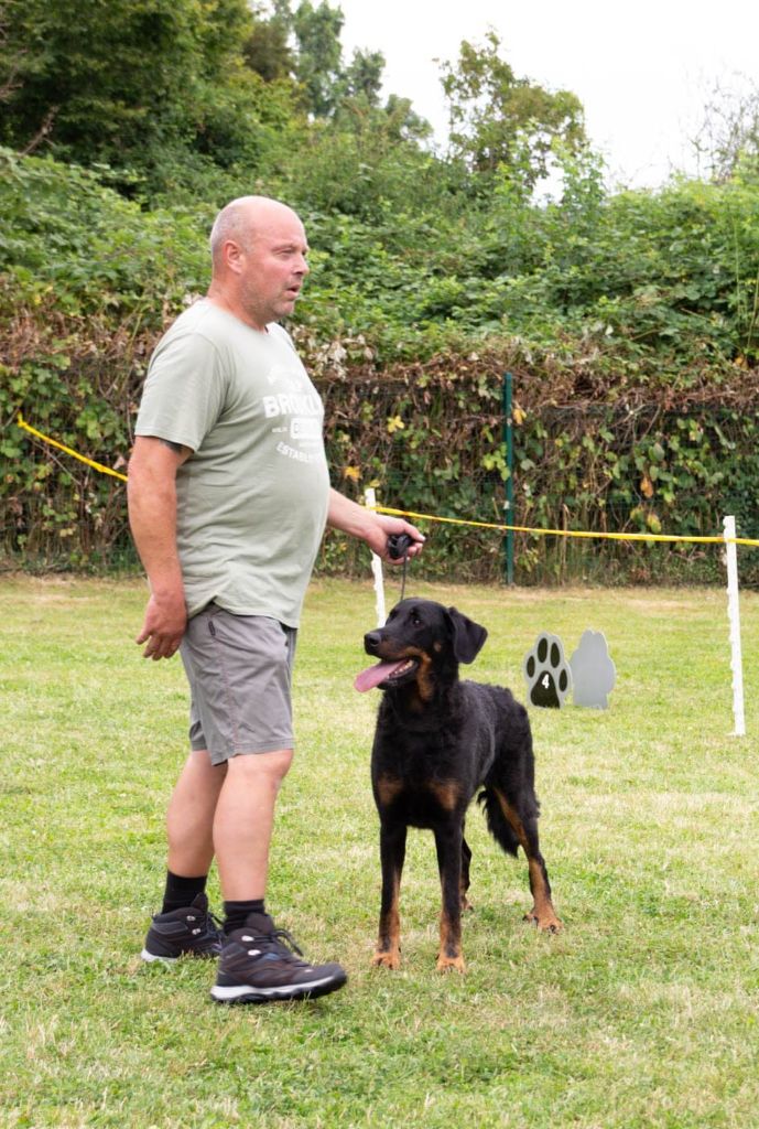 CH. Uzelle Le Bas Rouge Céleste - 1e EXC CACL