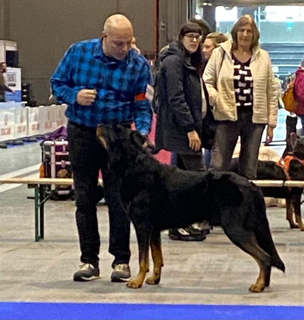 CH. Solo L'ami De La Campagne - 1e EXC CAC CACIB BOS