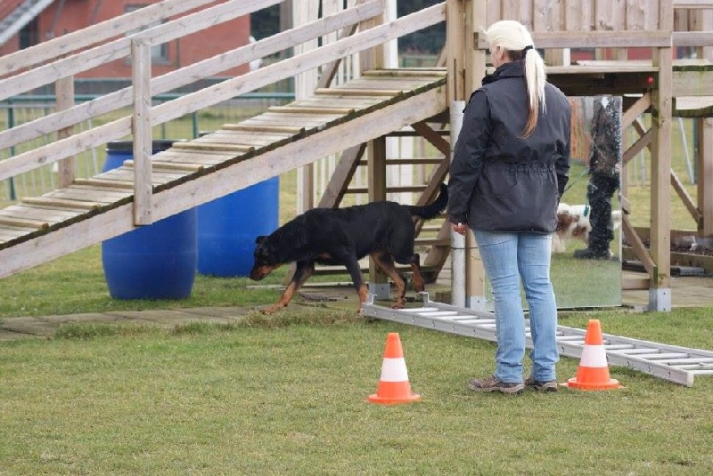 Fyotta du stuyver veld - 67/100