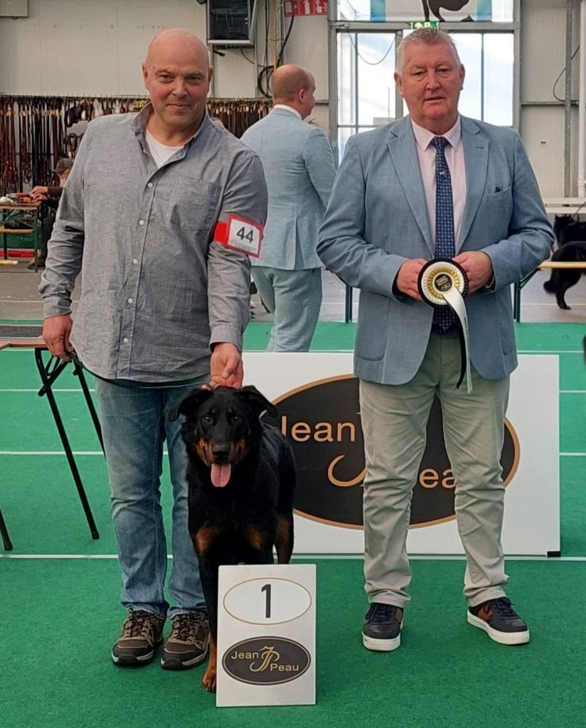 Whyava L'ami De La Campagne - 1e EXC CACIB-Jr CAC BOB