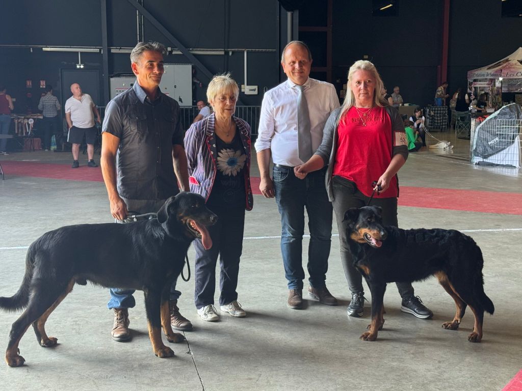 CH. Vousia L'ami De La Campagne - 1e EXC CAC BOS (openklas)