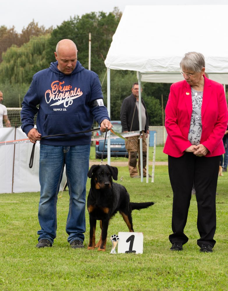 CH. Uzelle Le Bas Rouge Céleste - 1e/4 Très prometteur et meilleur baby