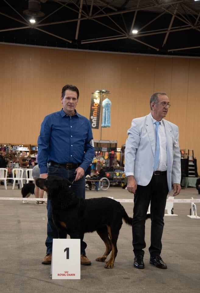 CH. Morse (monty) L'ami De La Campagne - 1e EXC meilleur veteran