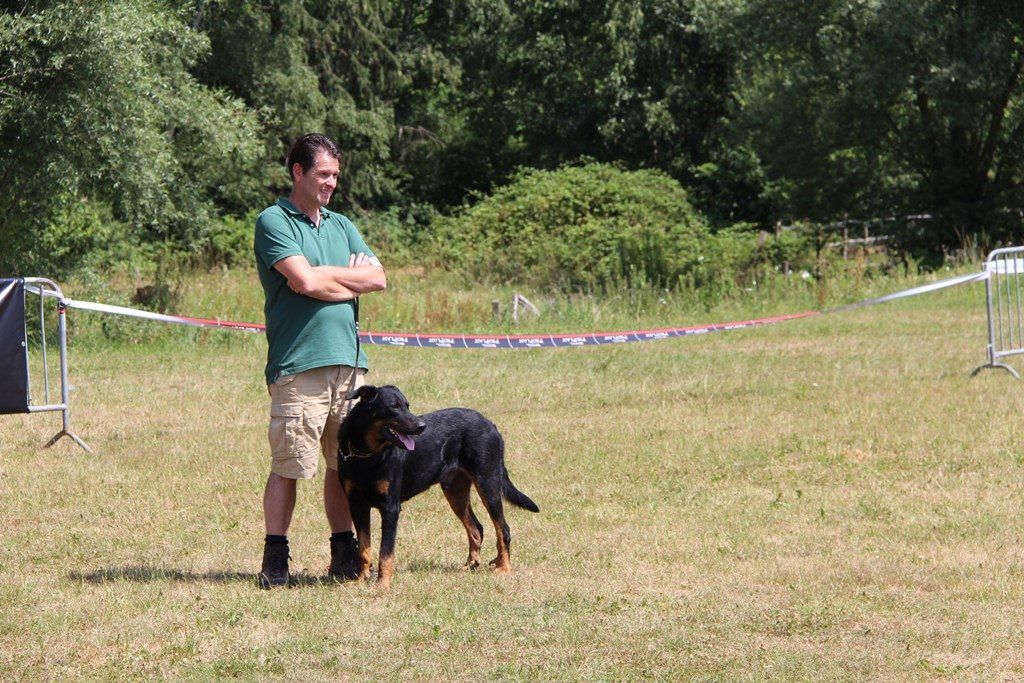 CH. Morse (monty) L'ami De La Campagne - 3e Exc classe Champion