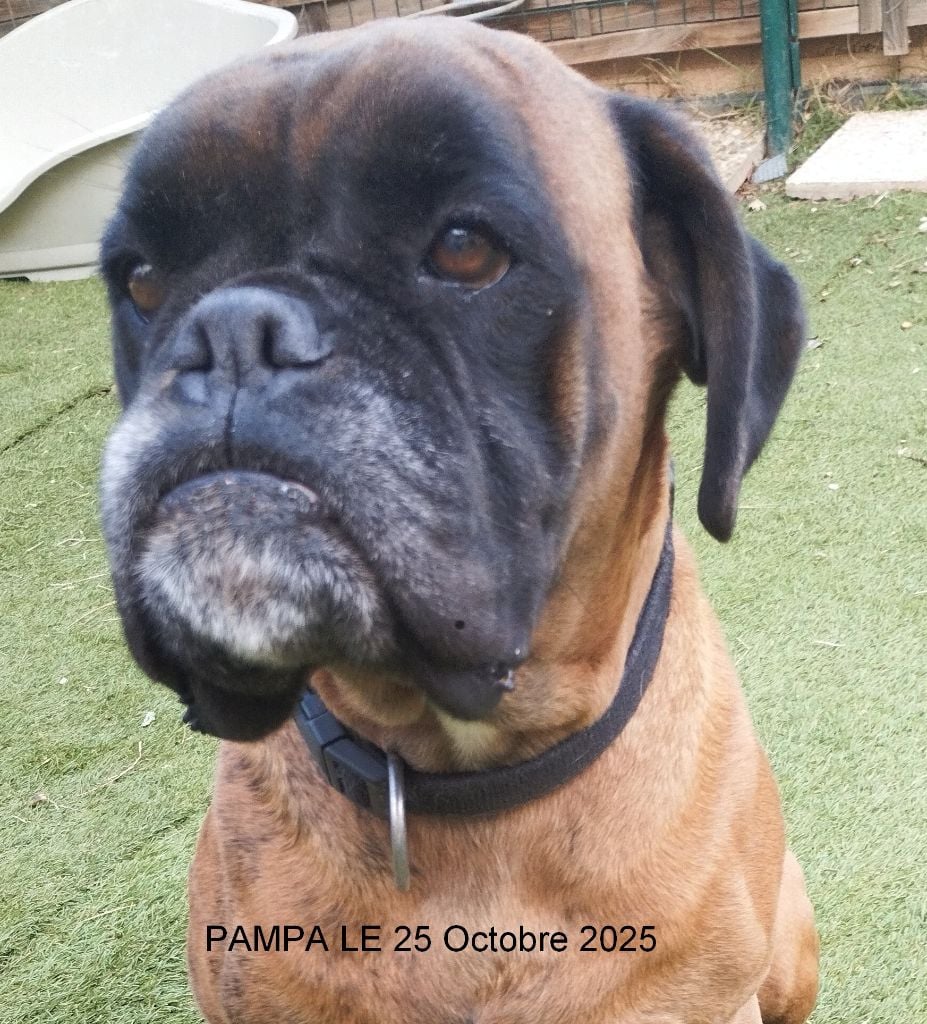Pampa Du Chemin De La Sainte Victoire