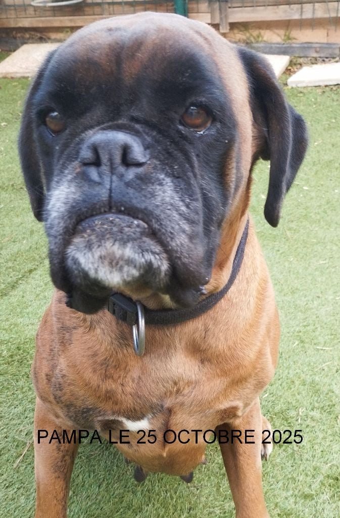Pampa Du Chemin De La Sainte Victoire