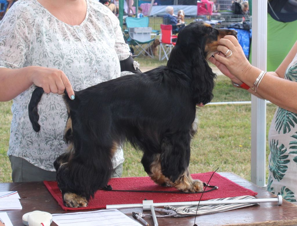 Night and day (Sans Affixe) - 1er très prometteur