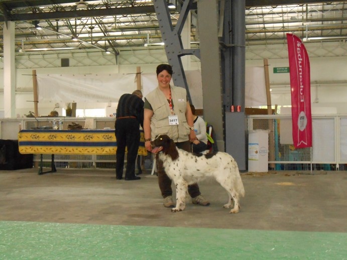 CH. Yvette (dite yaka) Solojager's - 1er Exc CACS-CACIB MR