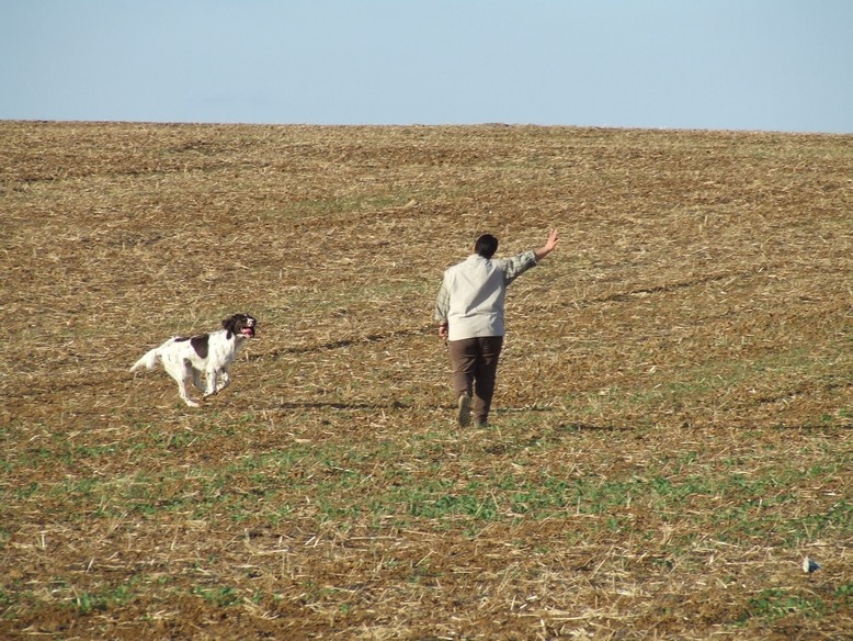 CH. Yvette (dite yaka) Solojager's - BICP I 32/32 RCACIT