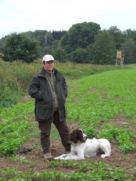 CH. Yvette (dite yaka) Solojager's - HZP 179 Pts