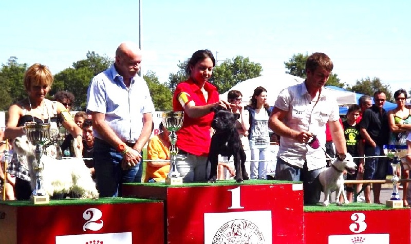 Griotte Du Coeur Des Terres - 1er excellent ,meilleur jeune et meilleur jeune du groupe 3