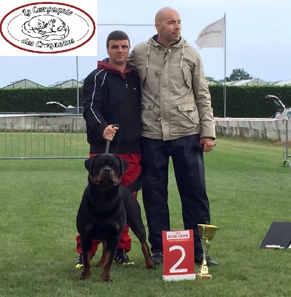 Publication : von haus ferapie