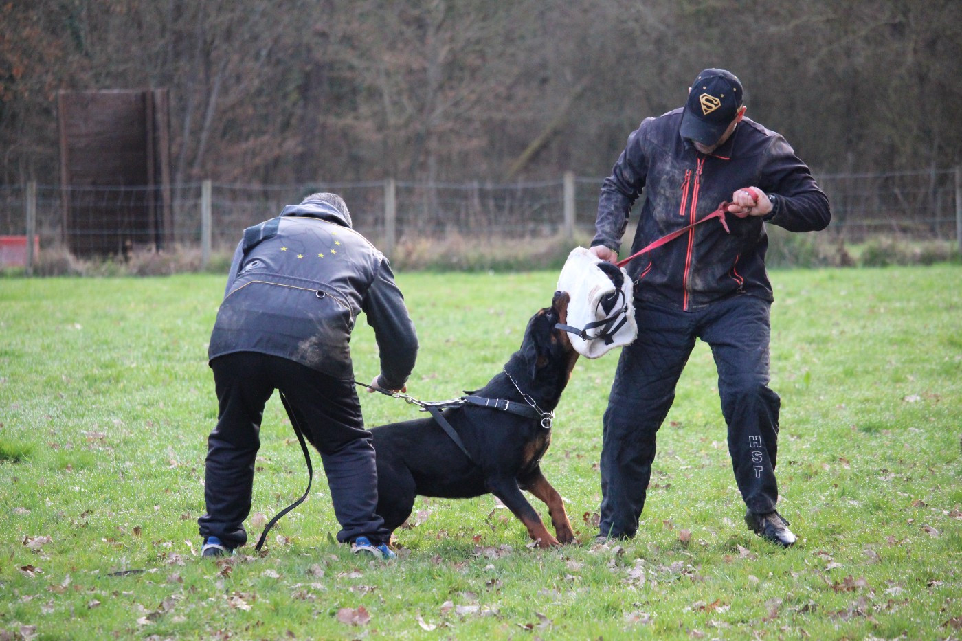 CH. Farina von haus ferapie