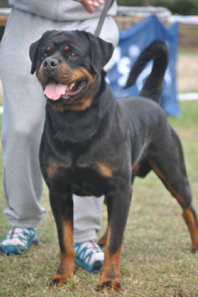 Publication : von haus ferapie