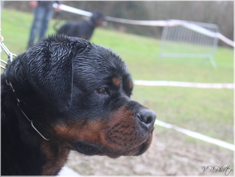 Publication : von haus ferapie