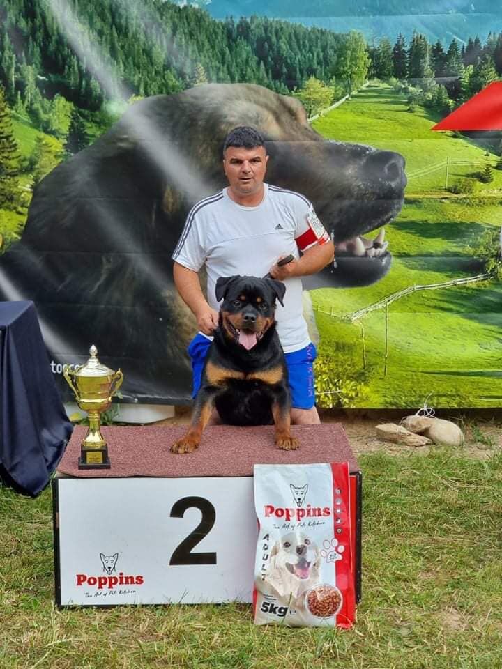 CH. Apis von haus ferapie - 1er Excellent - JCAC - JBOB - R. BEST IN SHOW JUNIOR