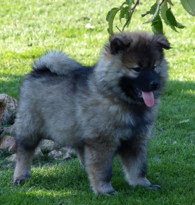 Publication : des Legendes de Retz