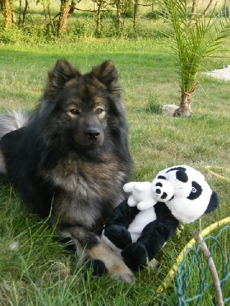 Publication : des Legendes de Retz